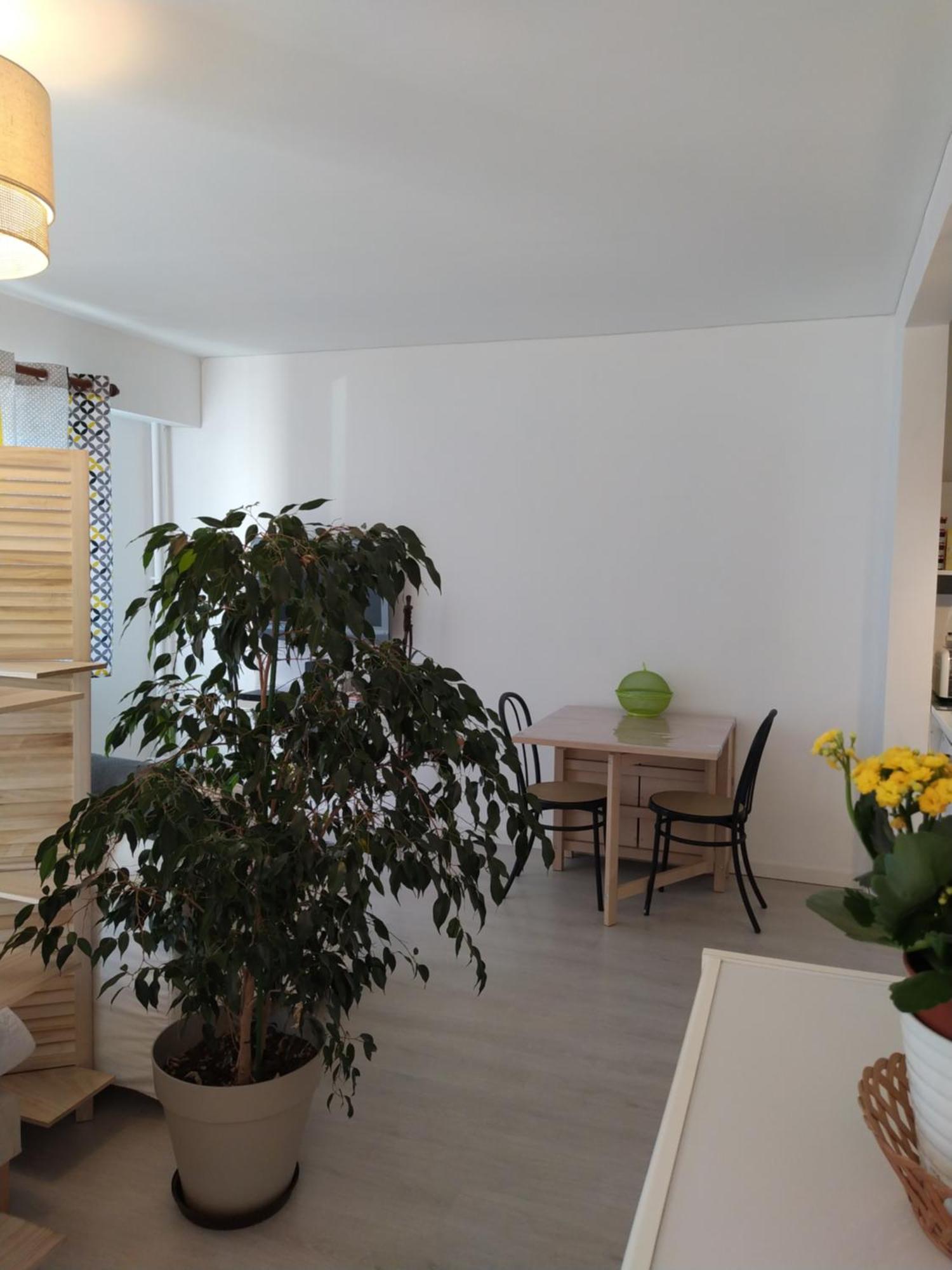 Grand Studio, Super Equipe, 2 Pas Du Centre-Ville "Clos-Du-Boulanger" - Parking Prive 蒙贝利亚尔 外观 照片